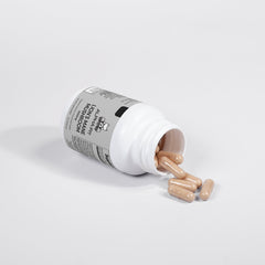 Lion's Mane Mushroom