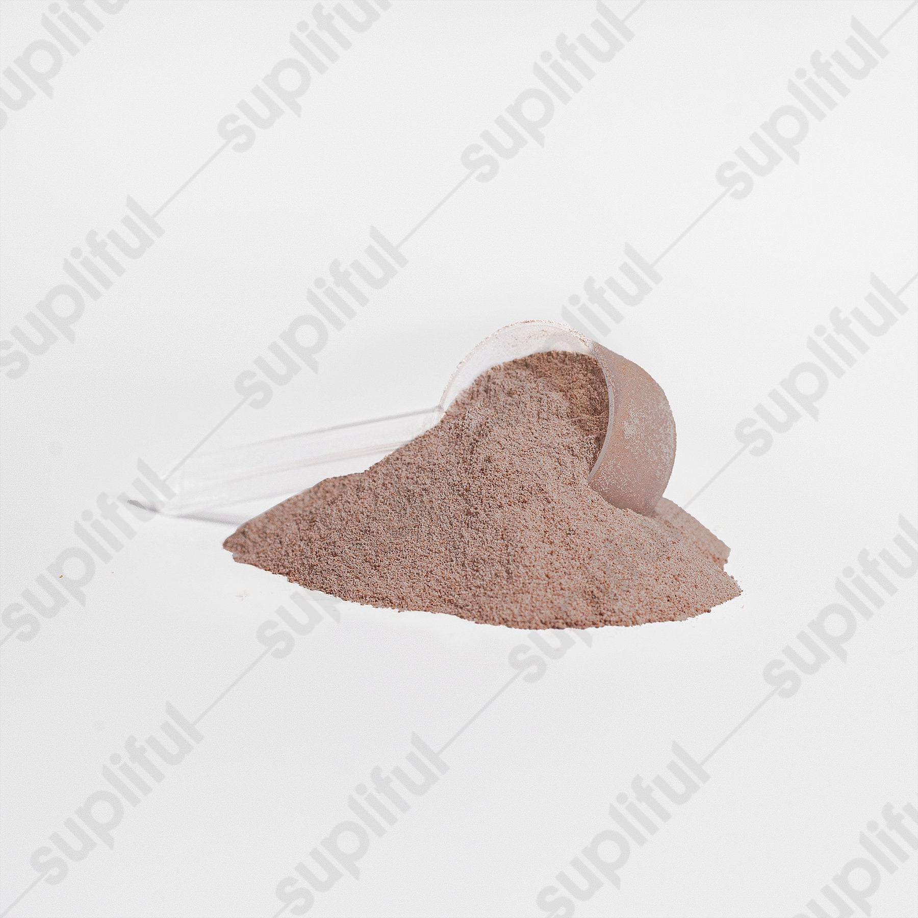Bully Builder Advanced 100% Whey Protein Isolate (Chocolate)